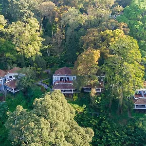 The Tall Trees Resor Munnar